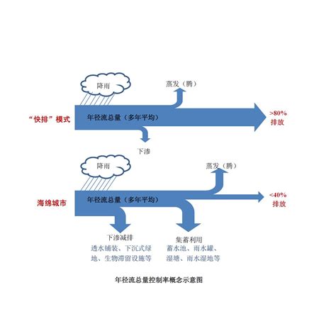 徑流意思